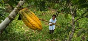 Proyecto beneficiar&aacute; a 16 mil familias de peque&ntilde;os productores