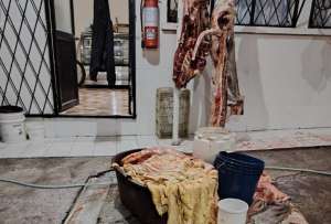 El lugar faenaba animales en medio de condiciones insalubres.