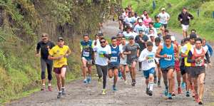 Quito Verde, una carrera familiar con fines sociales