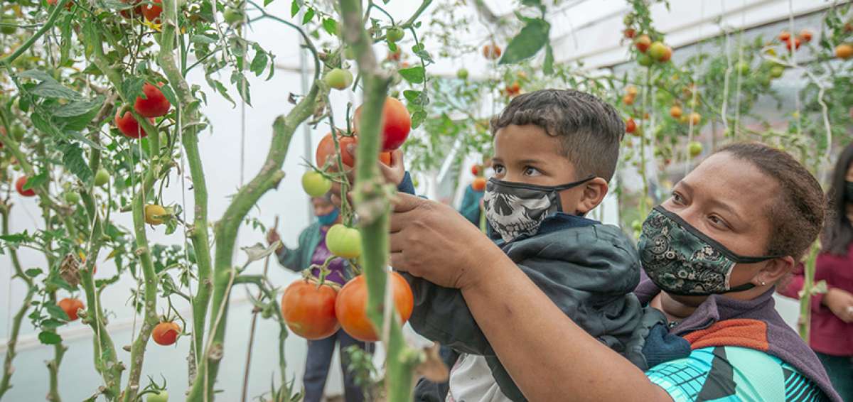 Ecuador se alista para celebrar el D&iacute;a del Ambiente con m&aacute;s de 40 eventos