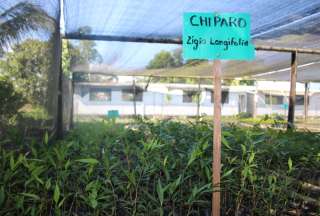 Los beneficios que da el bosque, como: agua, alimentos y materias primas.