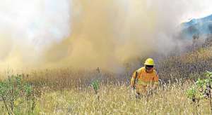 Una parte del cerro Ilal&oacute;, en el suroriente del Distrito, fue afectada por un incendio forestal entre el domingo y el lunes. La tarde de ayer, un foco se reactiv&oacute;. Foto: Miguel Jim&eacute;nez/El Tel&eacute;grafo