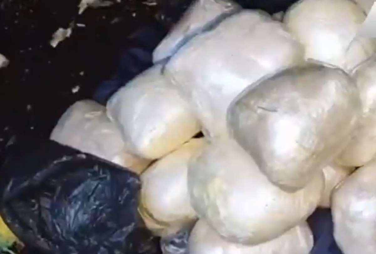 La acción conjunta entre Ecuador y Colombia permitió destruir un laboratorio en Colombia, e incautar heroína valorada en casi USD 300.000.