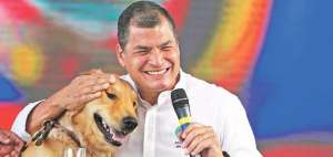 El Presidente mostr&oacute; a sus perros Golden Retriever &lsquo;Segismundo&rsquo; y &lsquo;Melibea&rsquo;, que viven en el Palacio de Carondelet, durante el Enlace Ciudadano 395. Foto: Cortes&iacute;a Presidencia de la Rep&uacute;blica.