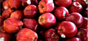 Las manzanas provenientes de Estados Unidos pagar&aacute;n aranceles para su ingreso a M&eacute;xico. 
