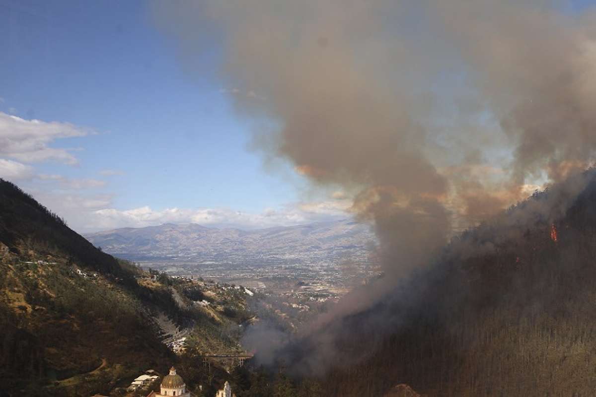 El incendio afect&oacute; varias hect&aacute;reas del cerro Auqui. Foto: Cortes&iacute;a de Michelle Gachet
