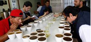Esta edici&oacute;n del evento Taza Dorada contar&aacute; con jueces internacionales.