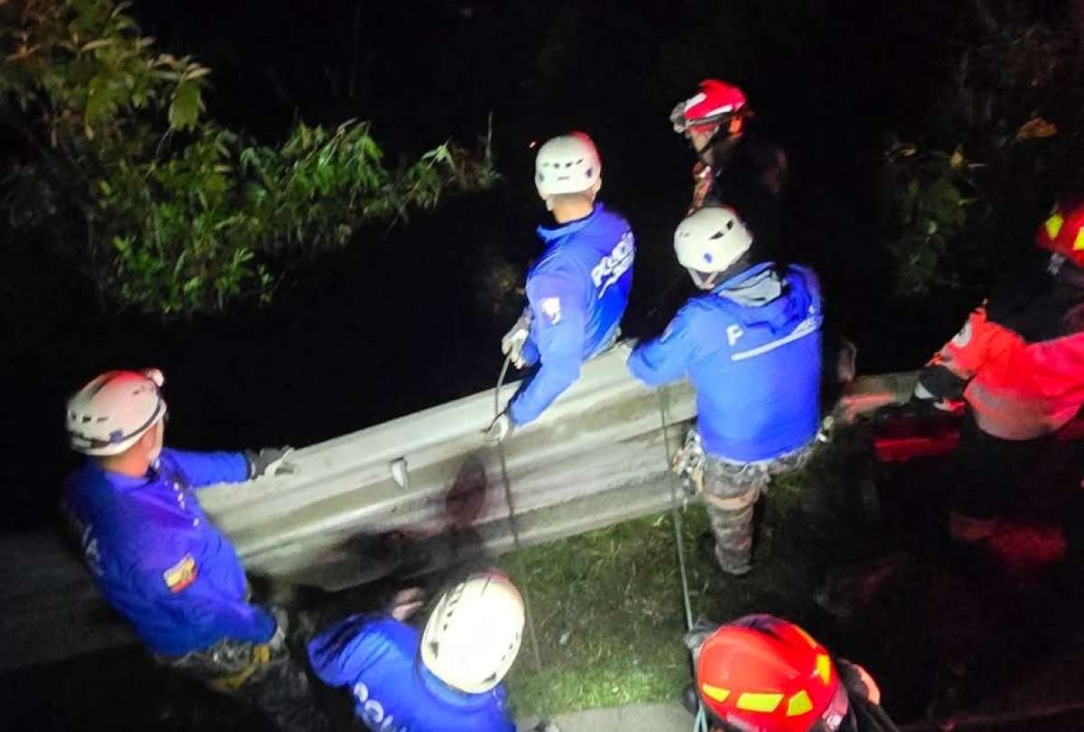 Las unidades de socorro acudieron al sitio del siniestro.