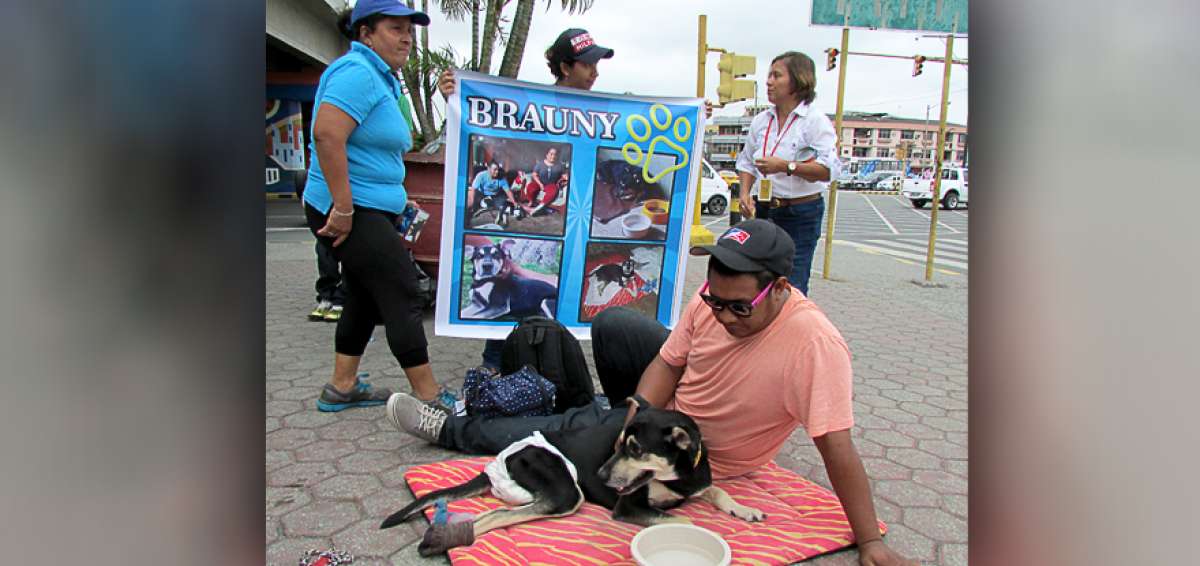 Brauny fue llevado hoy (jueves) al lugar de la colecta, frente a Policentro. Estuvo hasta las 16:00. 
