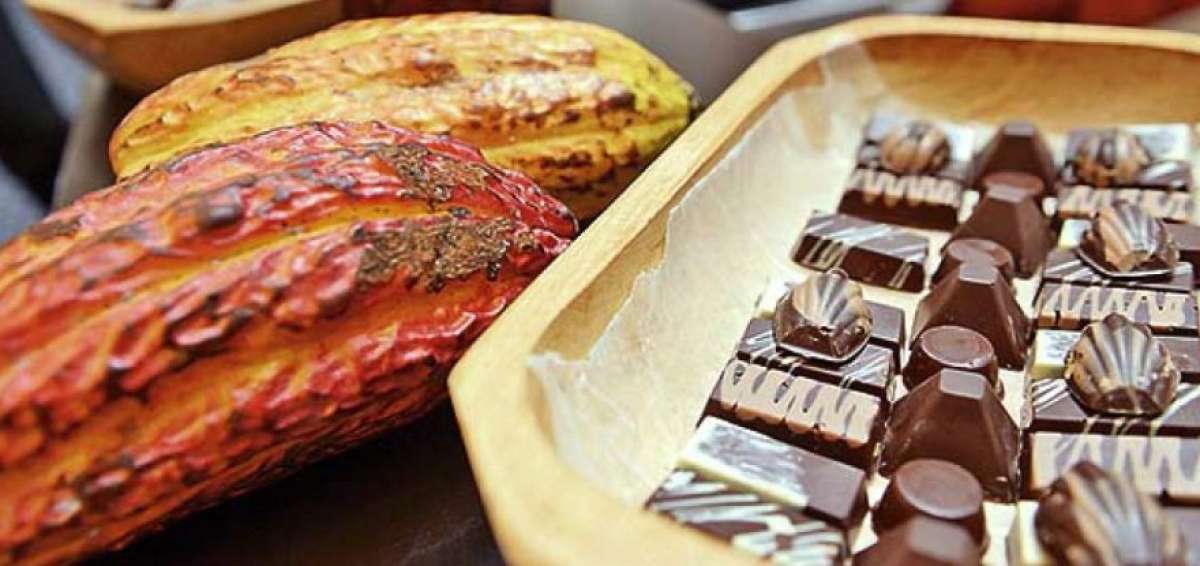 Sal&oacute;n del Chocolate promueve la producci&oacute;n ecuatoriana