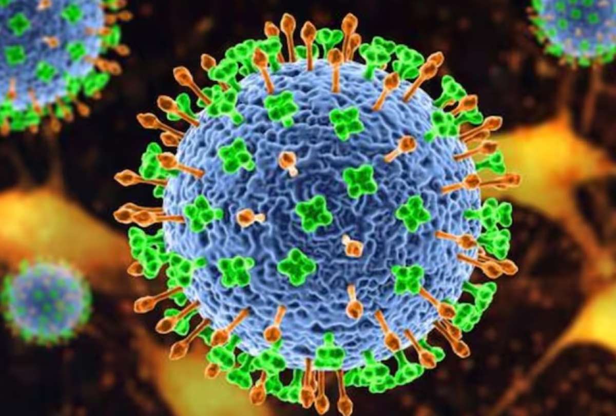 Alerta en India: rastreo y aislamiento por virus Nipah, de alta letalidad