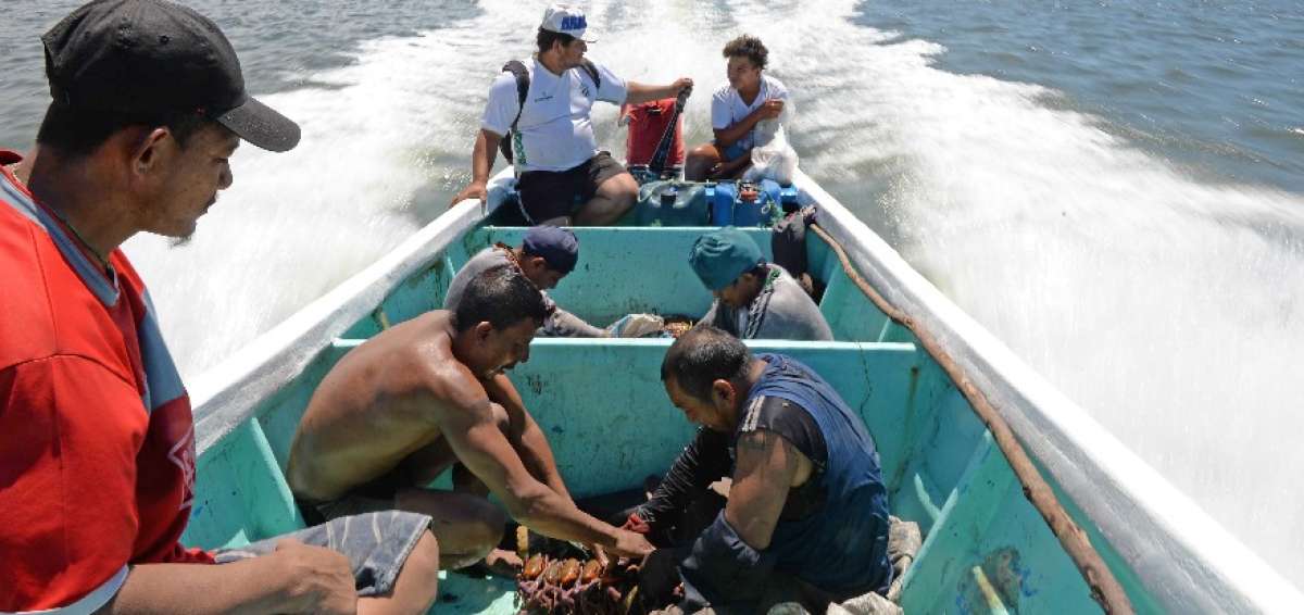 Los cangrejeros de El Oro, ahora hacen un par&eacute;ntesis en sus laboraes por la veda, hasta findes de este mes.