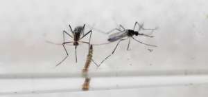 Colombia registra m&aacute;s de 20.000 casos de zika, m&aacute;s de 2.000 en embarazadas