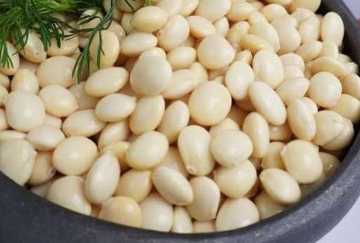 M&aacute;s all&aacute; de sus beneficios nutricionales, el chocho tambi&eacute;n podr&iacute;a convertirse en un aliado de los agricultores.