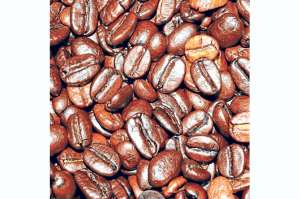 La parroquia Susudel ser&aacute; parte del proyecto de reactivaci&oacute;n de caf&eacute; 