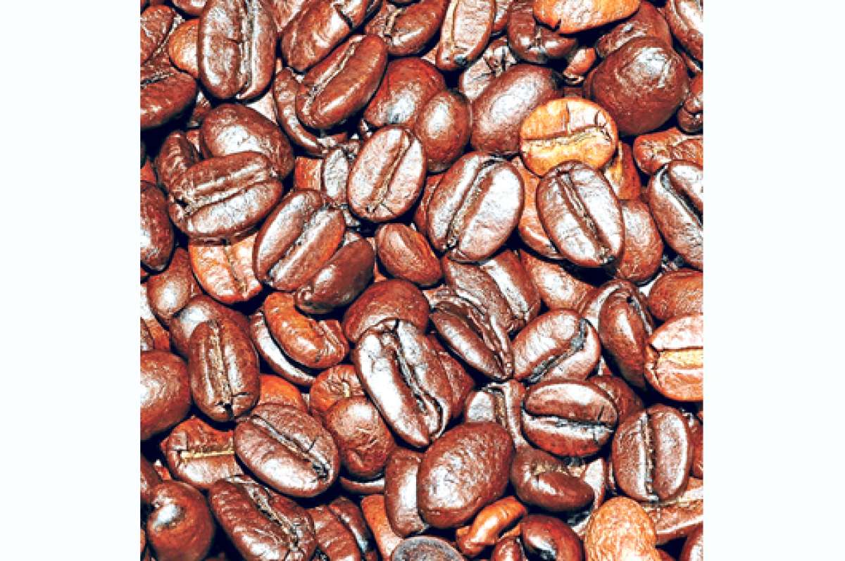 La parroquia Susudel ser&aacute; parte del proyecto de reactivaci&oacute;n de caf&eacute; 