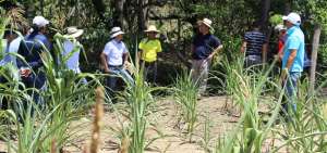 El cant&oacute;n Pindal es la regi&oacute;n m&aacute;s afectada por la falta de lluvias. Las autoridades ofrecieron ayuda a los pobladores.