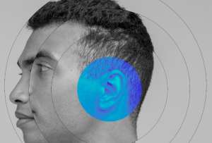 El sentido del oído se encarga de mantener el equilibrio. 