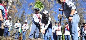La reforestaci&oacute;n es componente b&aacute;sicos de los proyectos ambientales  que se emprender&aacute;n en diferentes puntos del territorio nacional.