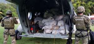En las costas del estado de Guerrero, sur de M&eacute;xico, un ecuatoriano fue detenido por supuestamente tener casi dos toneladas de coca&iacute;na que transportaba en una lancha r&aacute;pida, seg&uacute;n la Semar. 