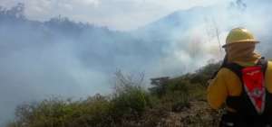 Bomberos combatieron el fuego en la zona. 