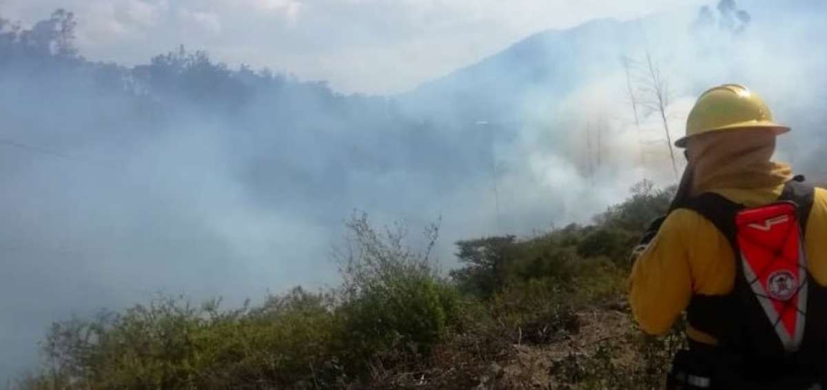 Bomberos combatieron el fuego en la zona. 