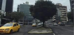 En algunas avenidas de la capital el tr&aacute;nsito se mantiene normal.