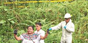 La premio Nobel de la Paz 1992 promueve un encuentro ind&iacute;gena en abril de 2016. Foto: Tomada del twitter @lamanosucia