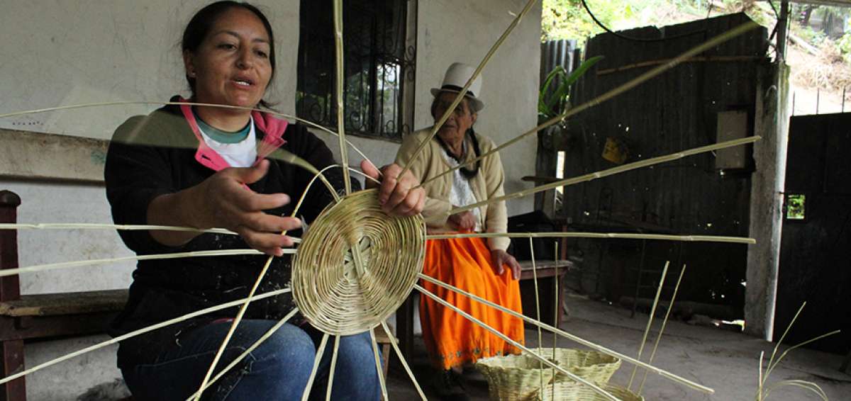 H&aacute;biles manos paute&ntilde;as dan forma al carrizo