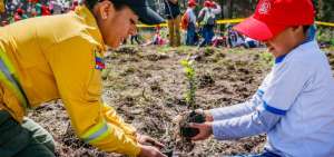 Estudiantes de varios colegios de la capital sembraron &aacute;rboles como parte de la campa&ntilde;a del Cuerpo de Bomberos. 