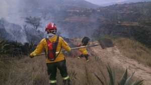 El Cuerpo de Bomberos inform&oacute; que para atender el incendio forestal acudi&oacute; un contingente de 15 efectivos. Foto: Cortes&iacute;a