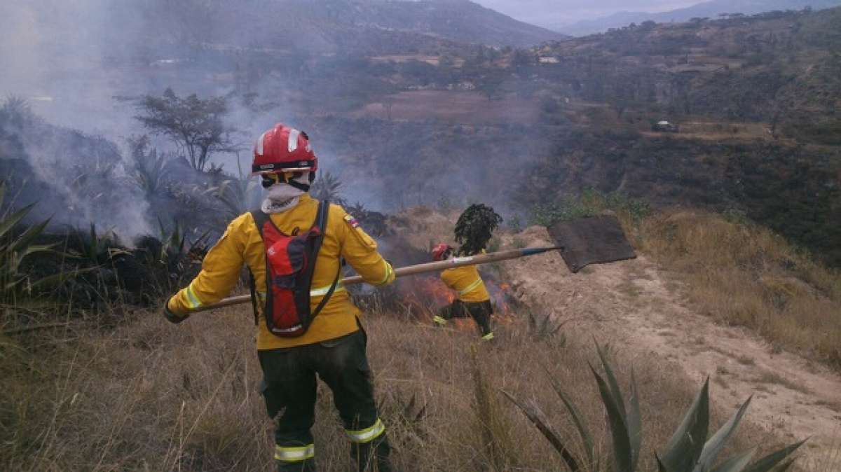 El Cuerpo de Bomberos inform&oacute; que para atender el incendio forestal acudi&oacute; un contingente de 15 efectivos. Foto: Cortes&iacute;a