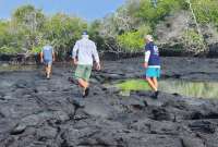 Los expertos analizaron un posible brote de gripe aviar en el oeste del Archipiélago de Galápagos.