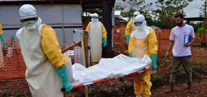La enfermedad caus&oacute; m&aacute;s de 11.000 muertos en 2 a&ntilde;os.