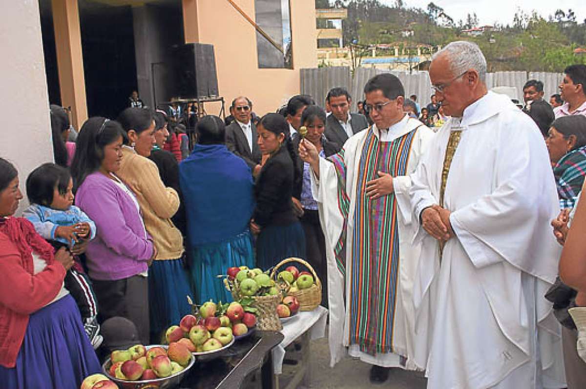Durante este mes se realiza la cosecha de esta fruta en varias comunidades de Azogues. Foto: Cortes&iacute;a Municipio de Azogues.