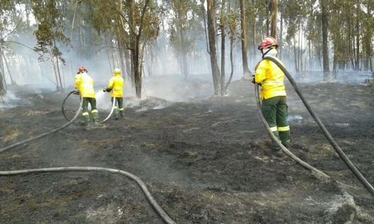 Foto: Cortes&iacute;a 