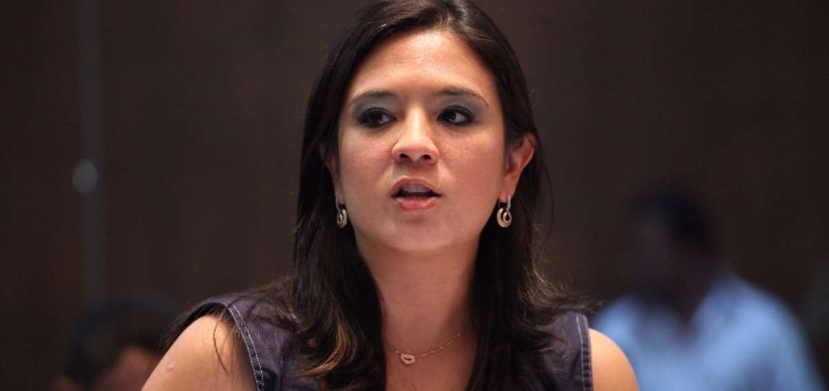 Asamble&iacute;sta Pamela Falcon&iacute;, Comisi&oacute;n 