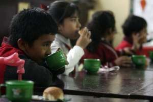La cebada y quinua ser&aacute;n parte del desayuno escolar del r&eacute;gimen escolar Costa