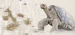 Anexi&oacute;n de Gal&aacute;pagos al Ecuador