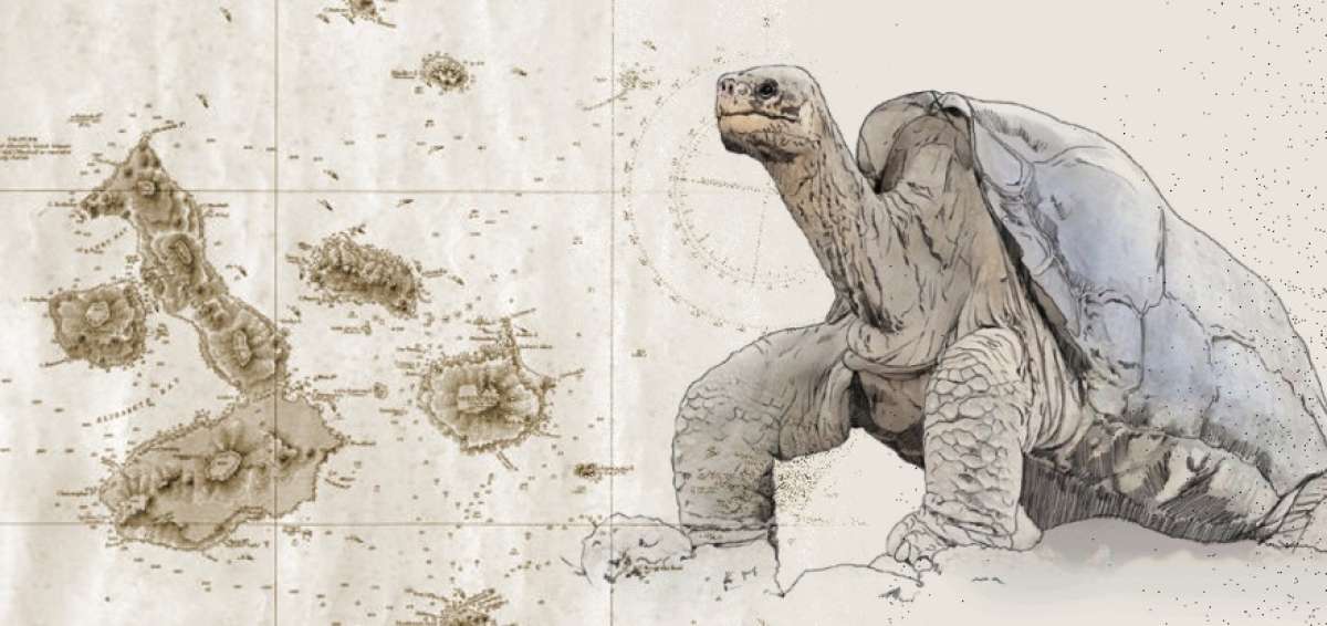 Anexi&oacute;n de Gal&aacute;pagos al Ecuador