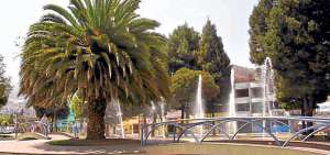 El trabajo de mantenimiento de las piletas urbanas de Quito es ejecutado por dos grupos. Uno labora de El Ejido, hacia el norte, y el otro en el sur.  