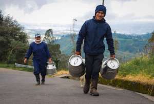 Estas ventas se dirigieron principalmente a Estados Unidos, El Salvador y Perú.