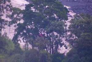 En Loja, una quebrada se desbordó por las intensas lluvias y en Morona Santiago hay alerta por el incremento del caudal del río Upano. 