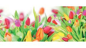 Las flores que van contigo