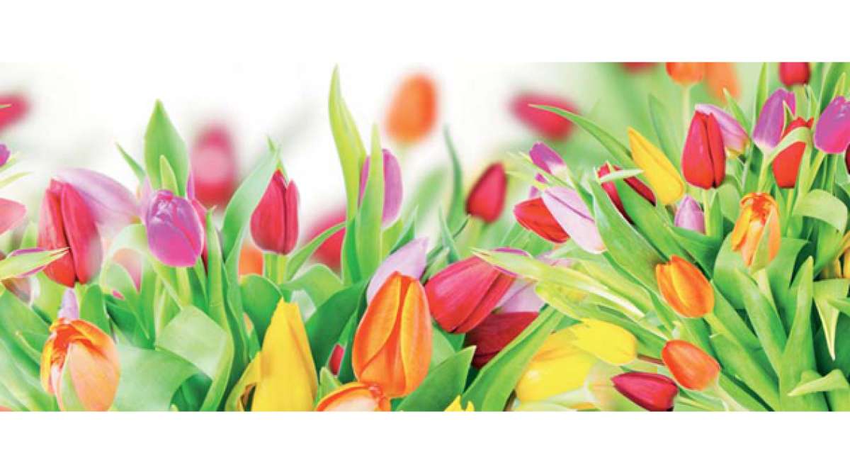 Las flores que van contigo