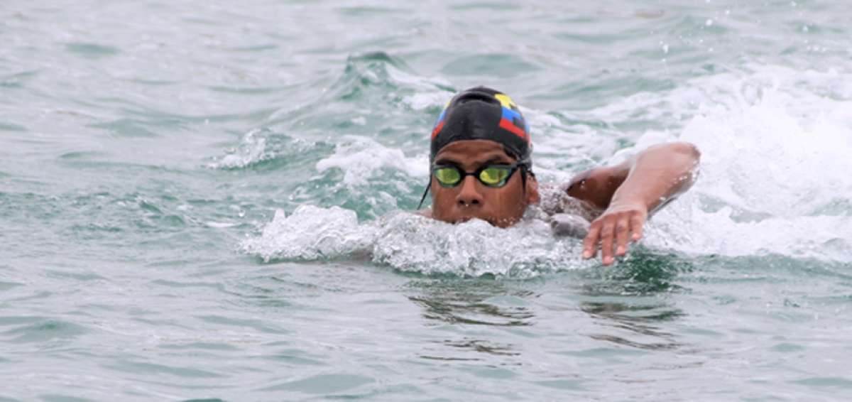 El nadador ecuatoriano David Farinango, de 17 a&ntilde;os, se impuso en la distancia de los 5 kil&oacute;metros de aguas abiertas de la XIII Copa del Pac&iacute;fico, que se desarrolla en la ciudad costera de Salinas. Hoy competir&aacute; en la modalidad relevos.