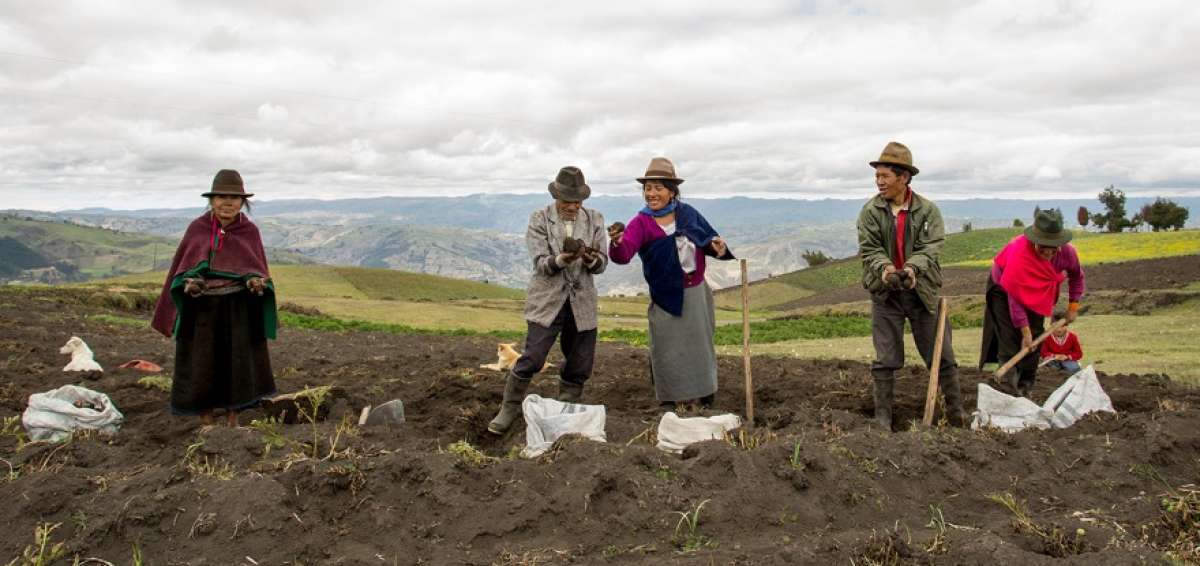Los peque&ntilde;os agricultores dependen de vender sus cosechas para subsistir. La importaci&oacute;n de productos agr&iacute;colas les restar&iacute;a mercado y competitividad.