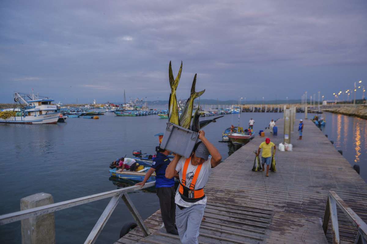 La econom&iacute;a de Jaramij&oacute; se basa en la pesca, actividad que vincula a unos 15 mil pobladores. Esta semana se inaugur&oacute; ah&iacute; el nuevo puerto. Foto: Rodolfo P&aacute;rraga