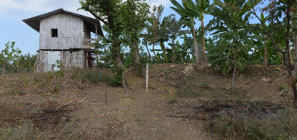 En Chong&oacute;n, una casa se levanta en una de las tierras que esperan ser adjudicadas por los campesinos para iniciar la cosecha.