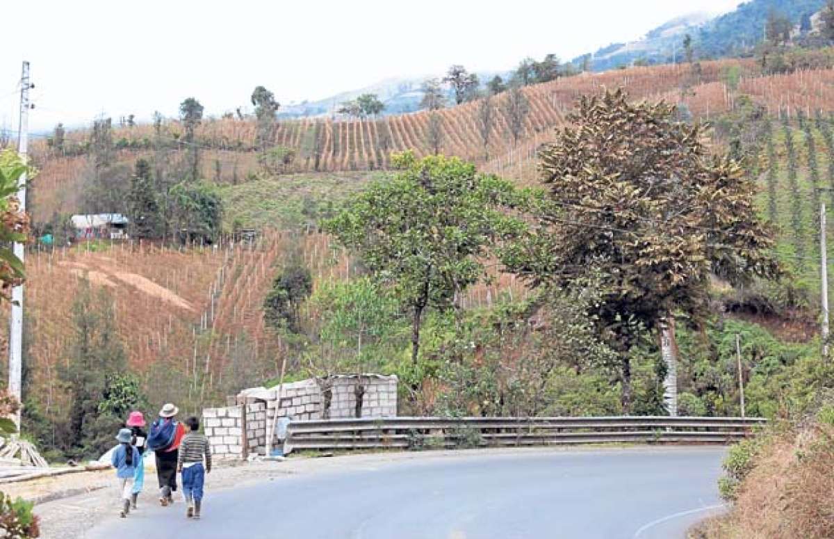Los maizales y los cultivos de mora caracterizan esta comunidad, a la que se puede llegar desde Guaranda o por Bucay. Foto: Mar&iacute;a Fernanda Arreaga